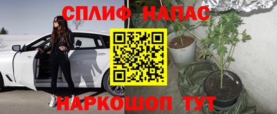 СК Изобильный